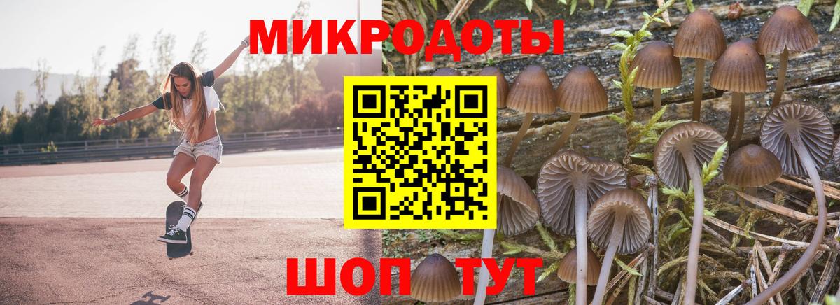Псилоцибиновые грибы мицелий  Галлюциногенные грибы Cubensis  Вход с VPN  Энгельс 